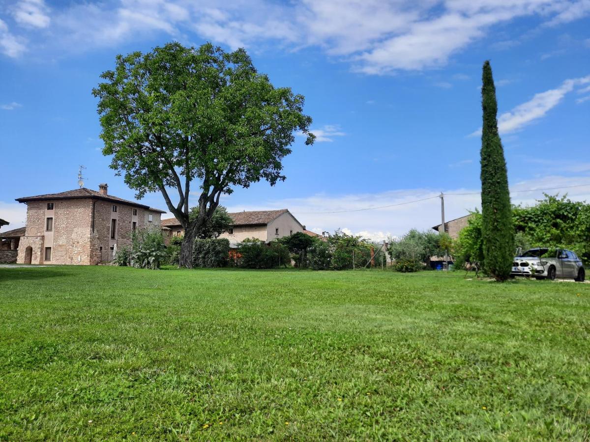 Corte Davini Agriturismo Monzambano Exterior photo