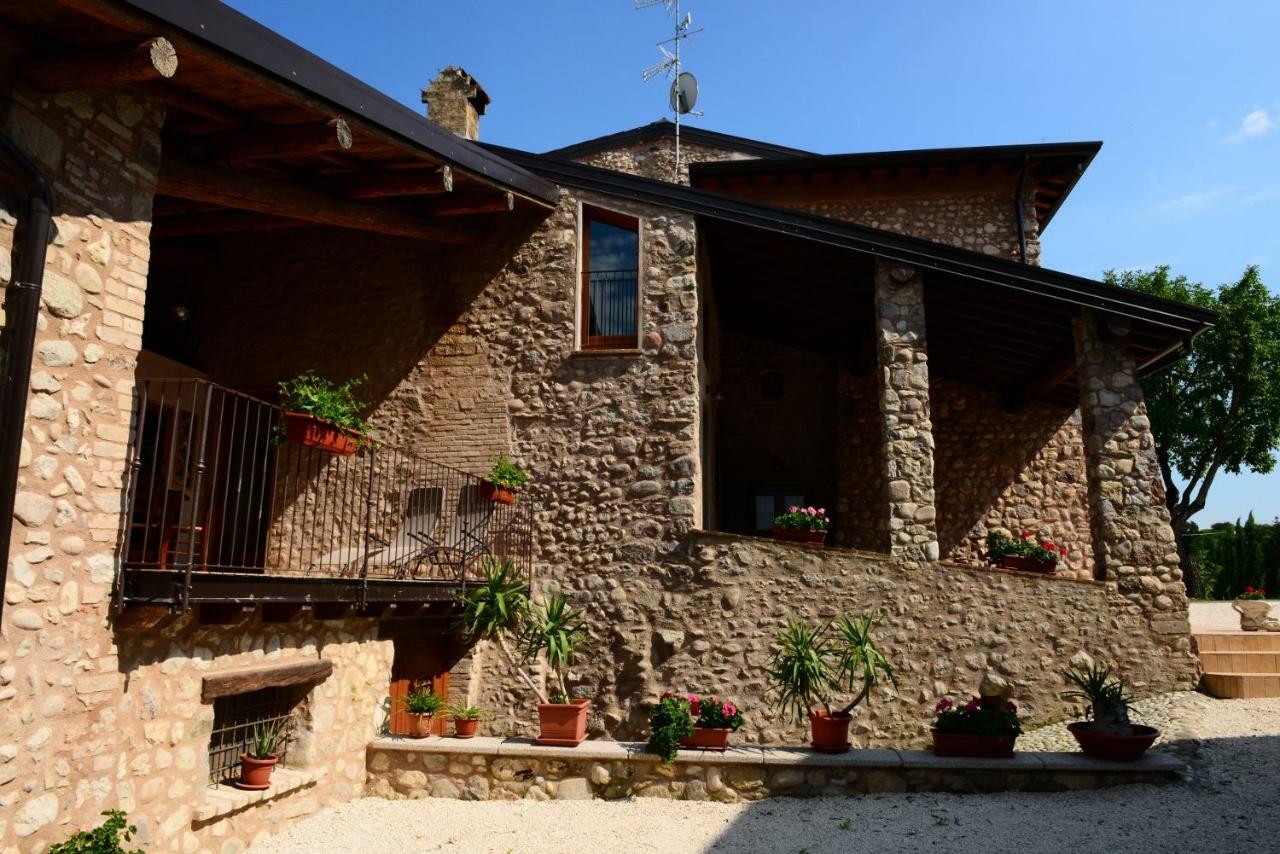 Corte Davini Agriturismo Monzambano Exterior photo